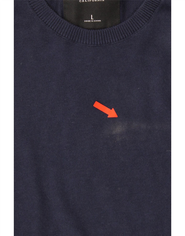HOLLISTER Mens Crew Neck Jumper Sweater Large Navy Blue Vintage Hollister and Second-Hand Hollister from Messina Hembry 