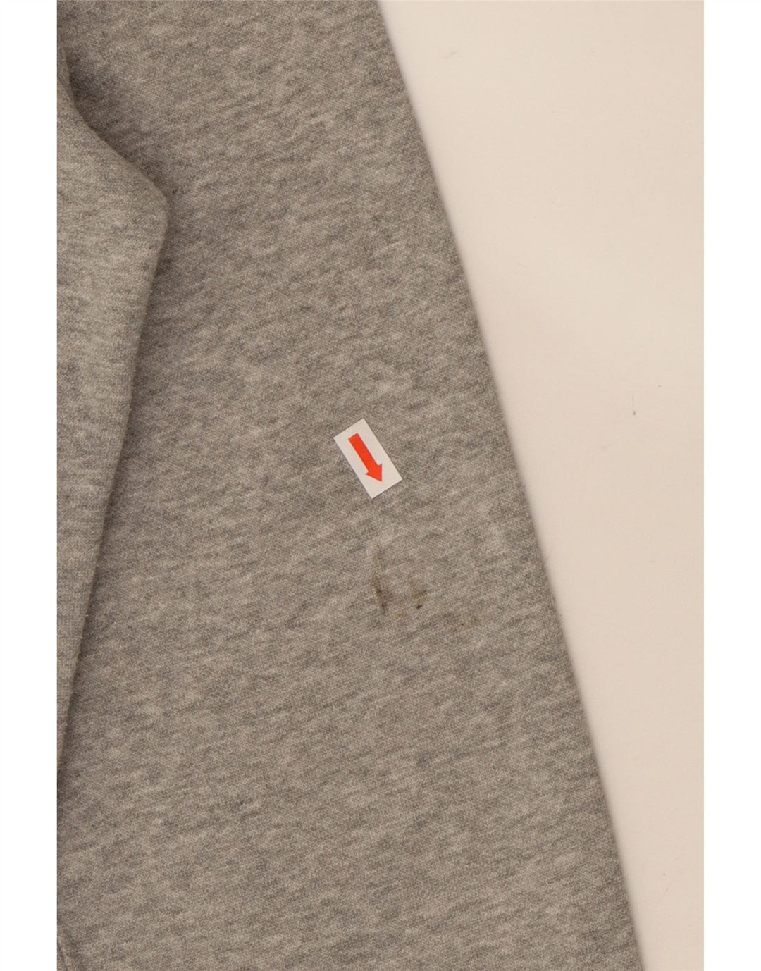 CHAMPION Mens Sweatshirt Jumper Medium Grey Cotton Vintage Champion and Second-Hand Champion from Messina Hembry 