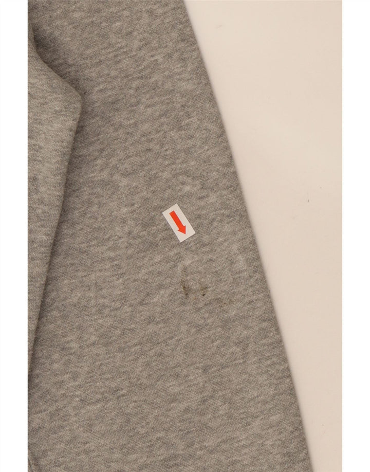 CHAMPION Mens Sweatshirt Jumper Medium Grey Cotton Vintage Champion and Second-Hand Champion from Messina Hembry 