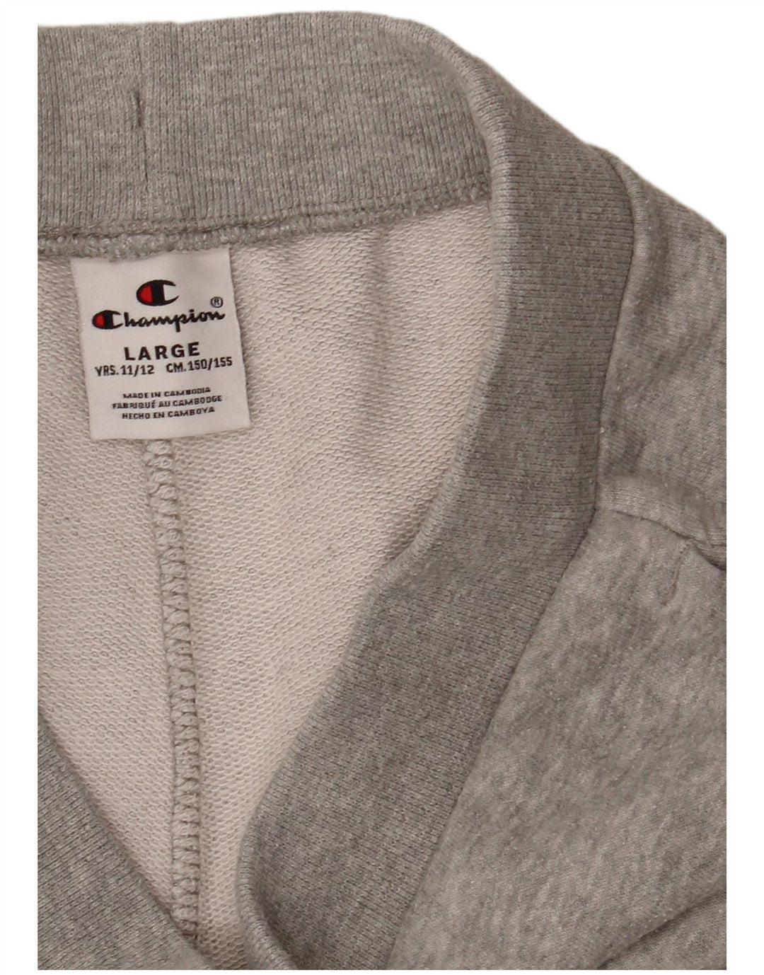 CHAMPION Pantalones cortos deportivos con gráficos para niños 11-12 años Grande Gris