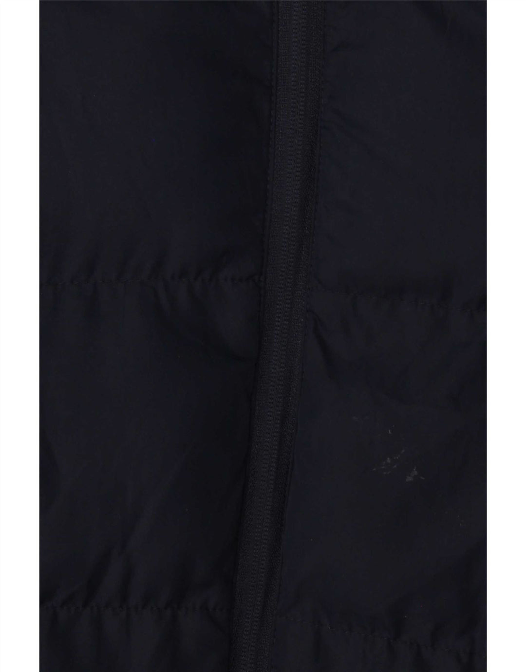 Lyle & Scott Chaqueta acolchada con capucha para niño 15-16 años Azul marino Poliéster
