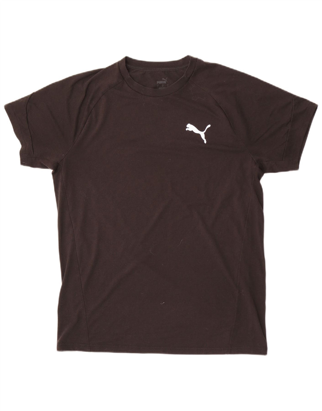 Camiseta Puma Hombre Top Grande Poliéster Negro