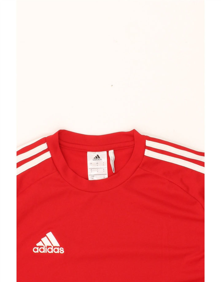 ADIDAS Mens Climalite T-Shirt Top Small Red Polyester Vintage Adidas and Second-Hand Adidas from Messina Hembry 