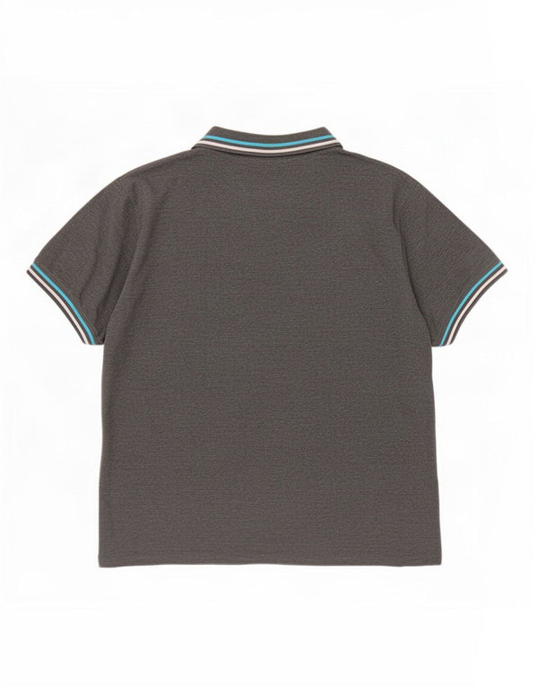 Pierre Cardin Polo Hombre 2XL Algodón Gris