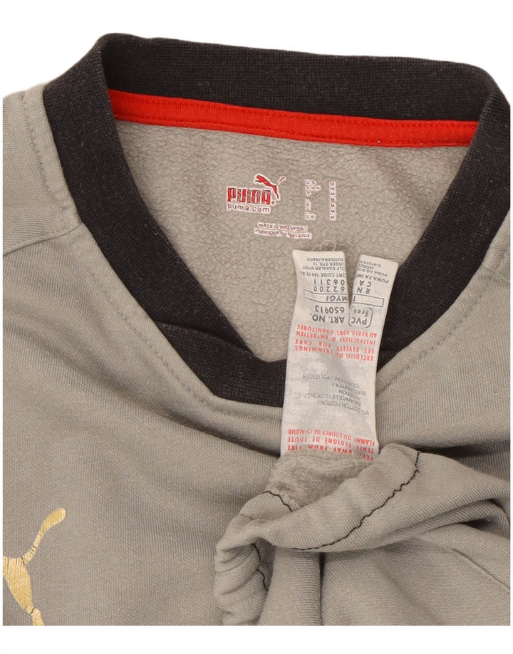Puma Sudadera Jumper De Algodón Color Block Gris Medio |