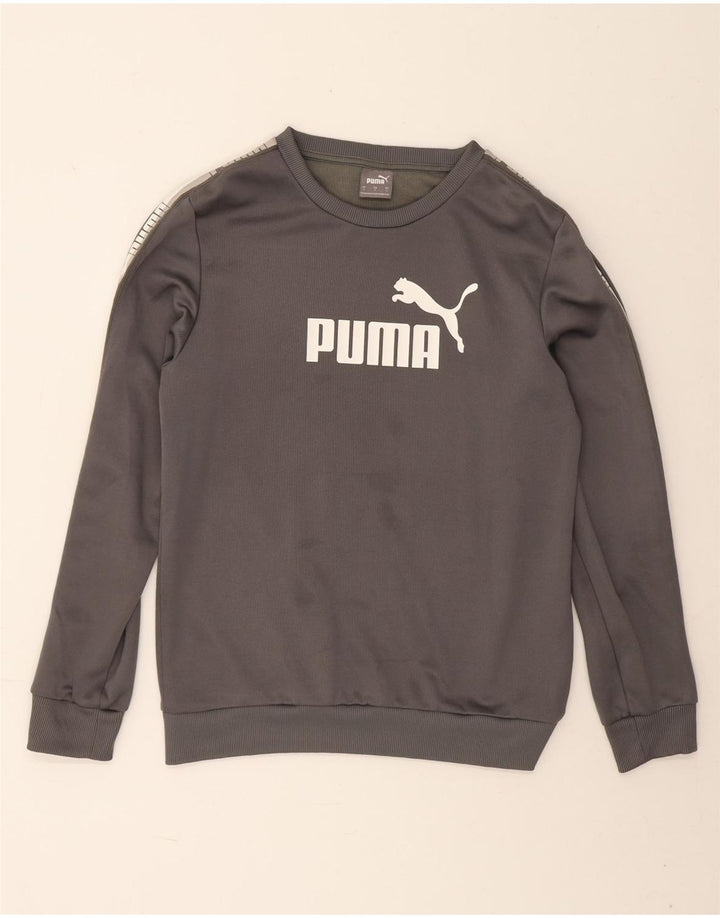 Puma Mens Graphic Sudadera Jumper Pequeño Gris Poliéster