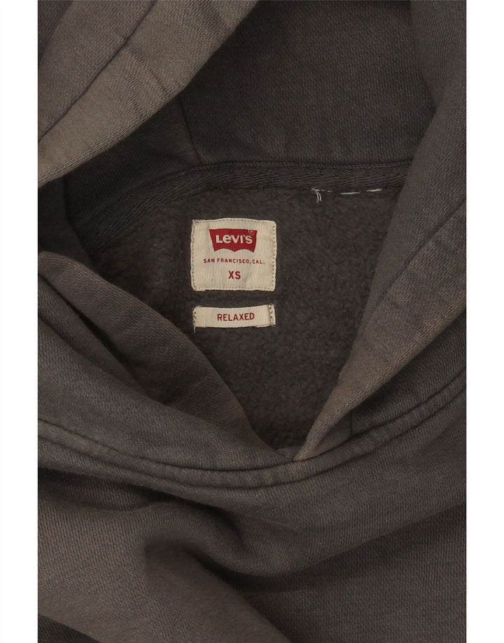 Levi's Jersey con capucha de ajuste relajado para hombre XS Gris