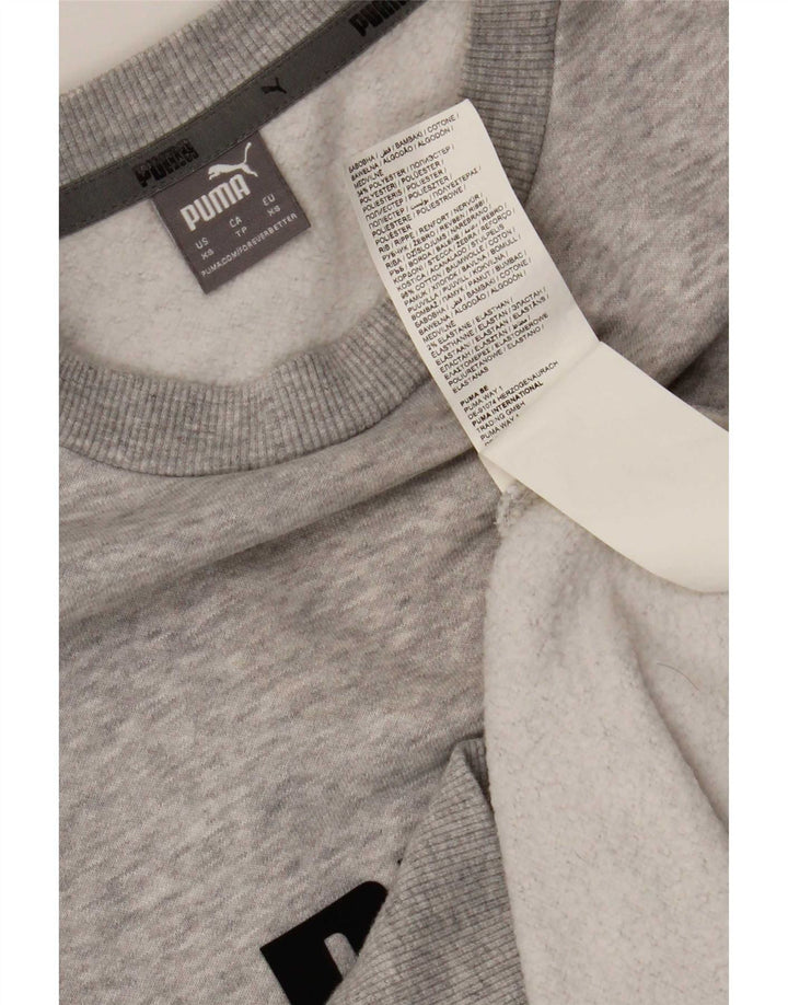 Puma Hombre Sudadera Gráfica Jumper XS Algodón Gris