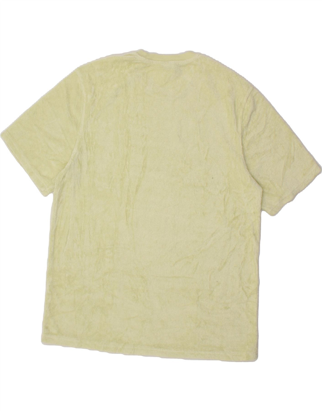CHAMPION Mens Graphic T-Shirt Top Large Green Vintage Champion and Second-Hand Champion from Messina Hembry 